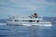 220PAX VINTAGE DAY CRUISER