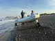 2006 Sealegs 6.1