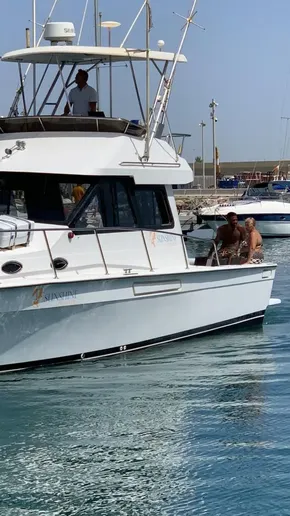 Mediterranean 38