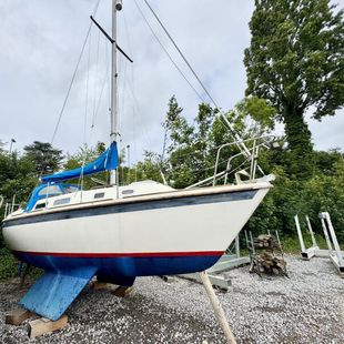 1983 Westerly Griffon MK II