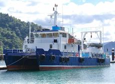 GENERAL PURPOSE WORK, DIVE & PASSENGER CATAMARAN