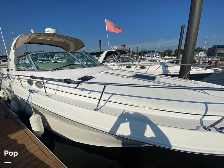 1999 Sea Ray 310 sundancer