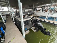 2022 Massimo Marine P23