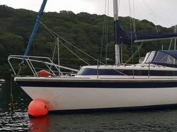 1990 Newbridge Pioneer