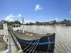 Coverted Dutch Eel Catcher