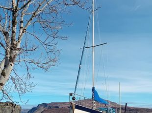 Victoria 26
