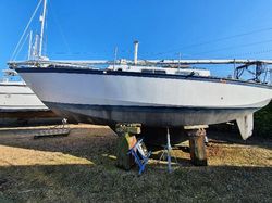 1980 Classic Yacht Classic Kliever 11