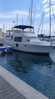 Carver 406