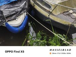 2006 mayland kingfisher