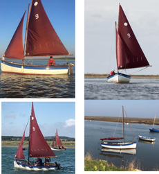 Stiffkey Cockle