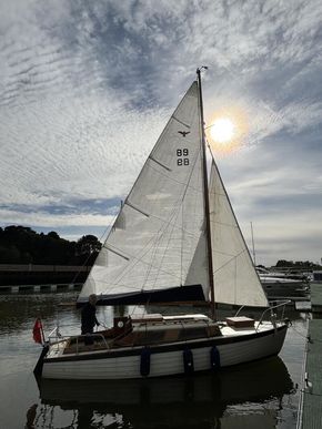 Mainsail in excellent condition