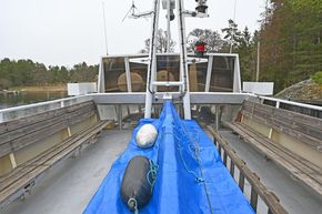 Top deck