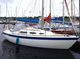 1999 Hurley 800 Comfort