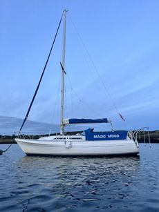 Magic Mood - Moody 333 For Sale