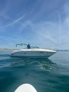 2001 Sea Ray 225 Weekender