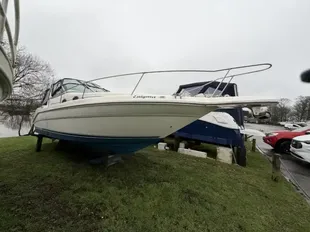 1995 Sea Ray 290 Da