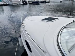 IMG 3457