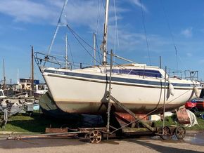 Lizina hauled out April 2026