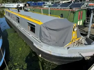 Springer 49