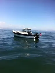 1999 Hardy 20 Pilot