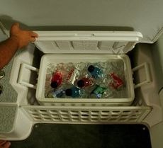 Removable cooler with access door