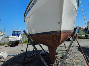 Colvic Countess 33