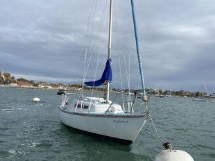 Hurley 22