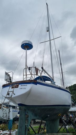Stern