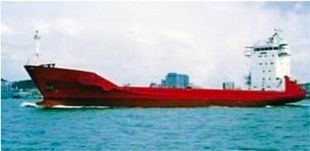366 TEU 4900dwt Multipurpose Container Ship