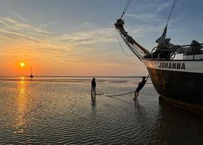 Drying out in the Waddensea