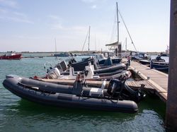 2024 Tiger Marine Dive Master 520