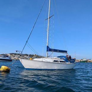 Trapper 501, 28ft sloop rigged yacht