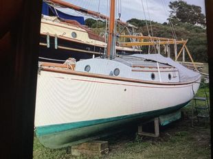 Norfolk gipsy