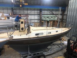 Contessa 26