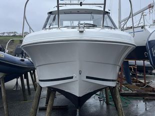 Merry Fisher 595