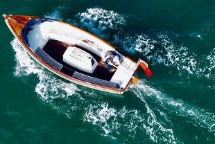 Norfolk Explorer Woody