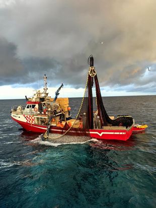 22m Fishing Vessel