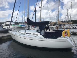 Contessa 28