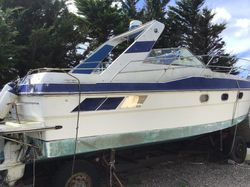 33ft fairline targa