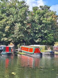 Springfield Marina  55foot  Narrowboat