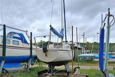 1986 Hurley 22