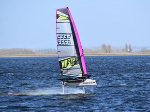 Waszp 2333