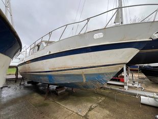  De Groot  36 36