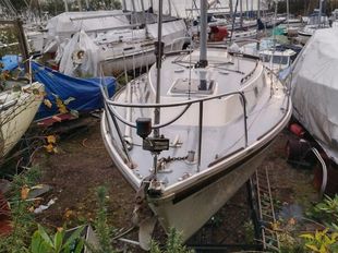 Westerly Konsort