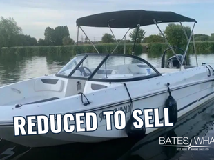 2019 Bayliner Element E21