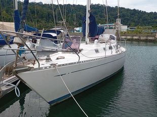 tatoosh 42