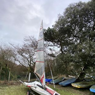 Musto Skiff 461