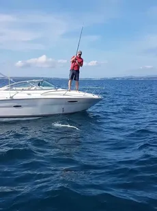 2001 Sea Ray 225 Weekender