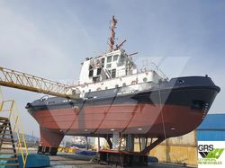 29m / 32ts BP Tug for Sale / #1051841