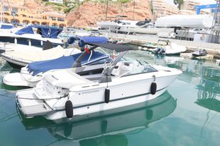 2017 Four Winns H260